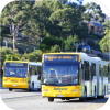 More Australian Bus & coach images